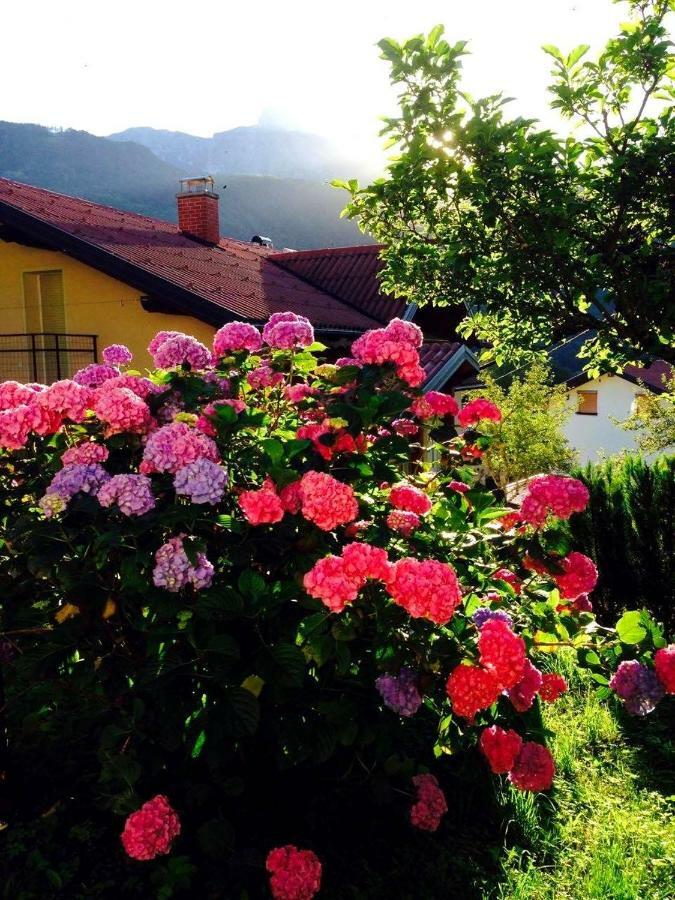 Cosy Cottage With Views Near Kobarid Kültér fotó